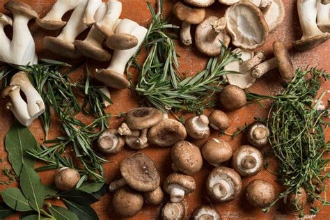 What Is the Health and Nutritional Value of Mushrooms? - The New York Times