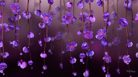 Purple Full Screen Flower Wallpaper Hd : Purple Flowers Wallpapers ...