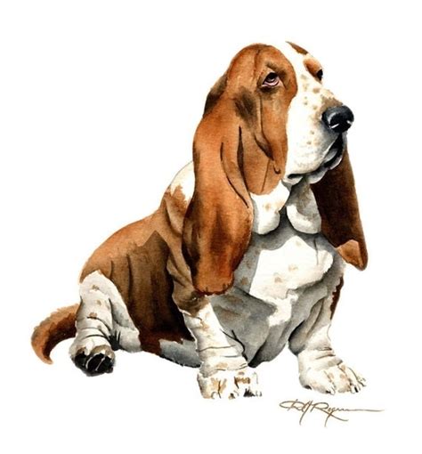 BASSET HOUND Dog Art Print Signed by Artist DJ by k9artgallery