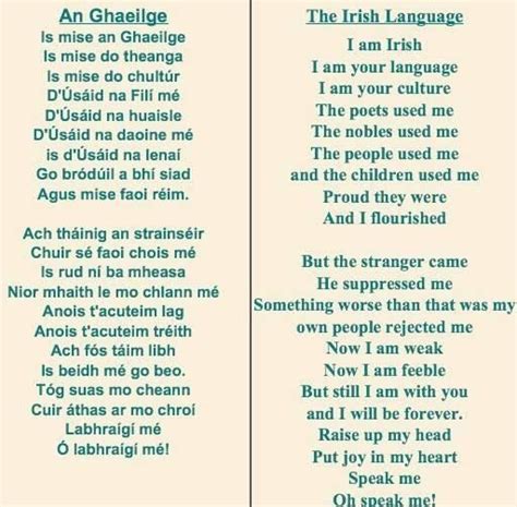 49+ Irish Friendship Quotes As Gaeilge | Peneleve