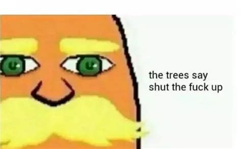 I Am The Lorax I Speak For The Trees | Know Your Meme