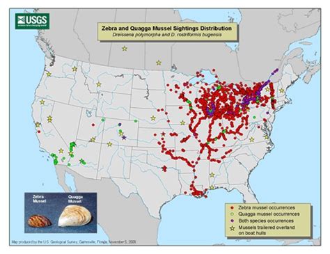 Pin on Invasive Species