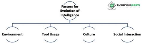 The Evolution of Human Intelligence