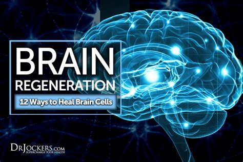 Brain Regeneration: 12 Ways to Heal Brain Cells – Internationally