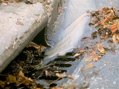 Managing Stormwater Runoff - Partnership for the Delaware Estuary