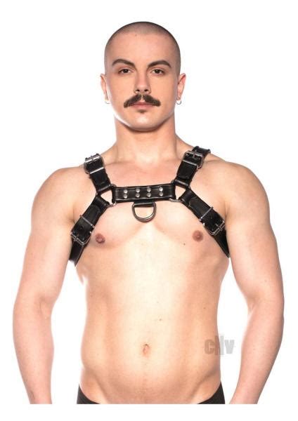 Prowler Red Bull Harness Black Md - Lovemylingerie.com