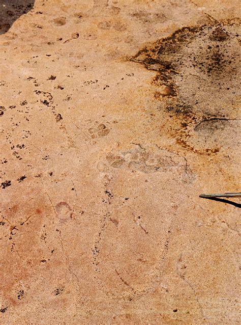 Where Life Began? Matsieng Footprints in Botswana - The Gate