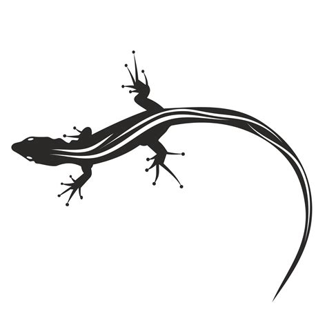 Vector for free use: Lizard Vector