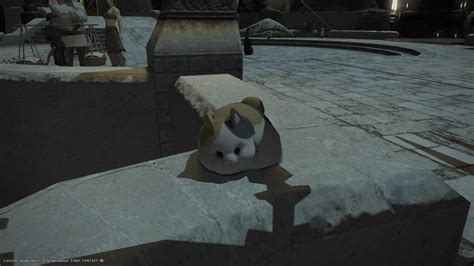 Fat cat minion acquired, my purpose in life is complete : r/ffxiv