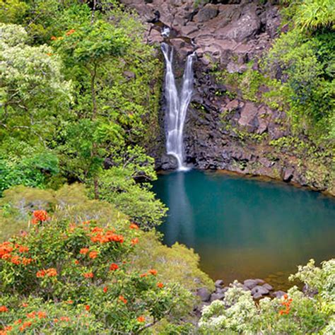 Best Waterfalls on Maui | Cascadas, Hawai, Lugares para visitar