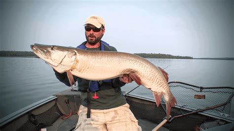 Eagle Lake Musky | How to Get Musky To Bite | Angling Edge