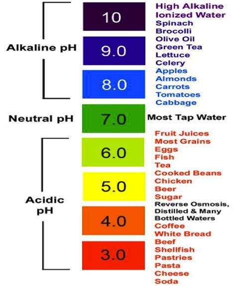 Acid-Base Balance & Buffers – By Harsaan Nithiananthan | Grade 12U ...