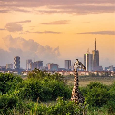 The future of Nairobi National Park: a review of the 2022-2030 plan ...