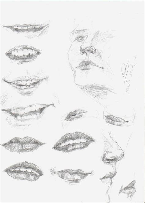 How to draw mouth, lips and teeth | Lips drawing, Mouth drawing, Teeth ...