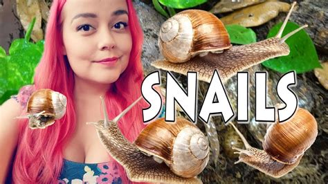 My New Pet Snails & Daily Care Routine - YouTube