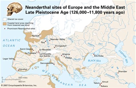 Neanderthal - Homo Sapiens, DNA, Evolution | Britannica