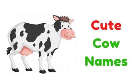 {1000+} » Cute Cow Names » [ Funny + Unique + Famous + Badass ]