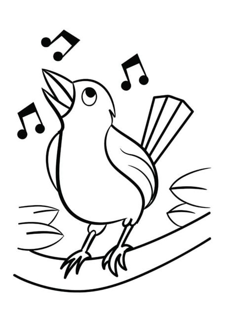 Singing Bird coloring page - Download, Print or Color Online for Free