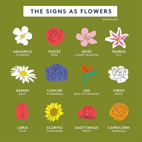 What's Your Flower Symbol, And Do You Agree? #zodiacsign #flowers # ...