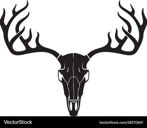 Deer skull with horns Royalty Free Vector Image