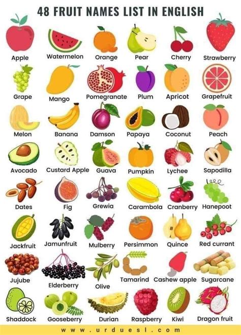 Fruits names - English vocabulary and grammar