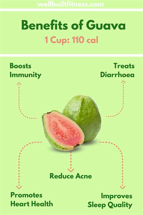 benefits of guava fruit | Guava benefits, Guava fruit, Guava