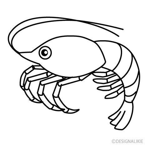 Shrimp Clip Art Black And White