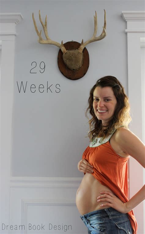 29 Weeks Pregnant - Dream Book Design