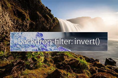 Introducing Backdrop Filters | WebKit