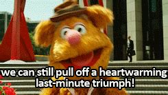 Fozzie Bear Quotes. QuotesGram