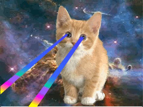 Cat Space GIF - Find & Share on GIPHY