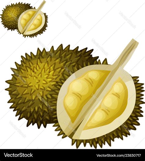 Durian Cartoon