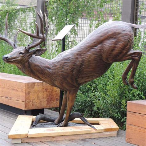 Bronze Whitetail Deer Sculpture For Sale - SevenTreeSculpture