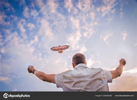 Boy Flying Kite Beach Sunrise Stock Photo by ©Konstantin1985 205250248