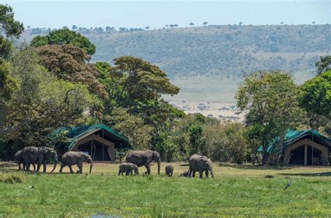 Best Safari Lodges in Kenya - Book It Lets Go