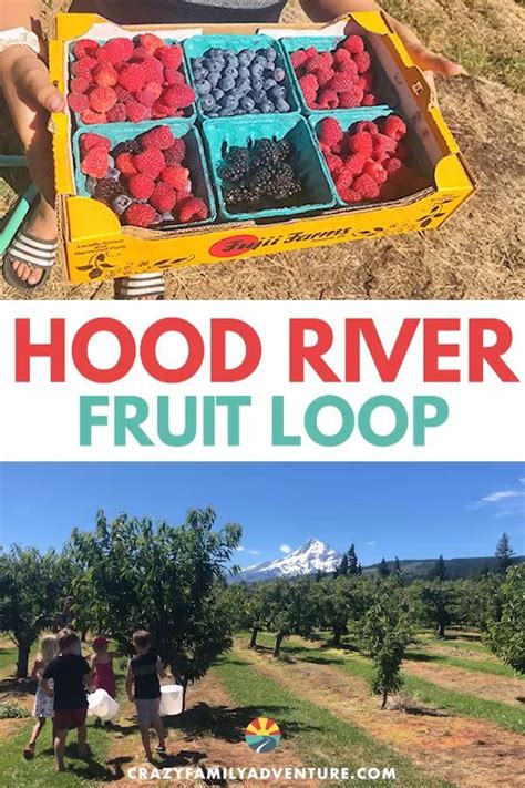 Looking for Oregon Vacation Ideas? The Hood River Fruit Loop should be ...