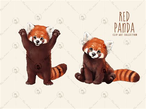 Cute Red Panda Clipart Bundle Red Panda PNG Clip Art Pack - Etsy UK