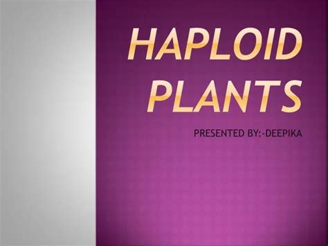 PPT - HAPLOID PLANTS PowerPoint Presentation, free download - ID:1876618