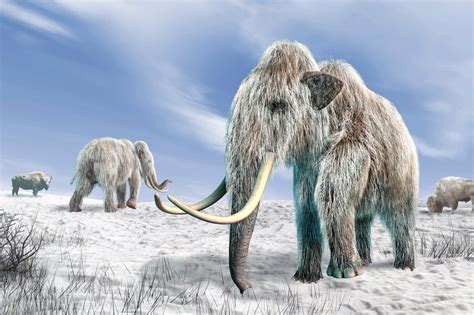 Controversial Theory on Extinction of Ice-Age Animals Supported by New ...