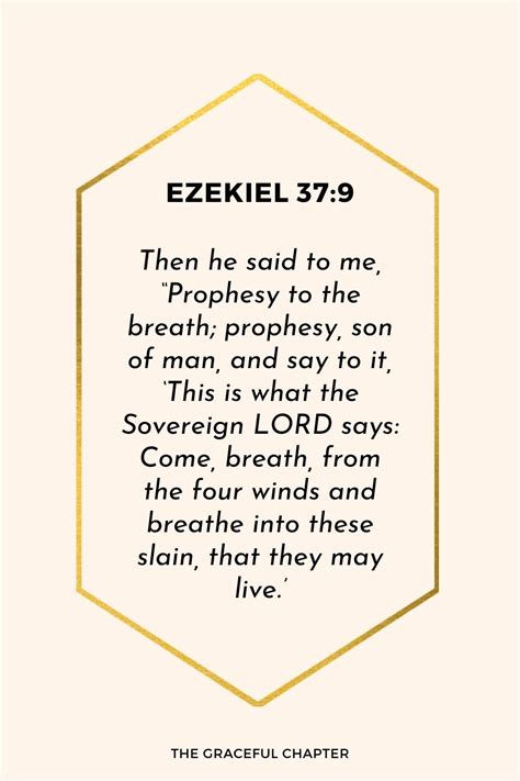 Reflection - Ezekiel 37:9 - It Is Never Too Late - The Graceful Chapter