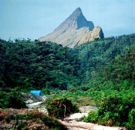 Pico da Neblina national park, Brasil | National parks, Wonders of the ...