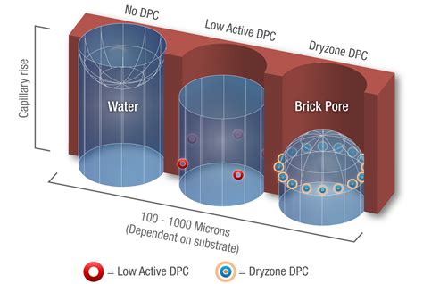 Anatomy of a DPC Cream - What makes Dryzone superior? - Safeguard Europe