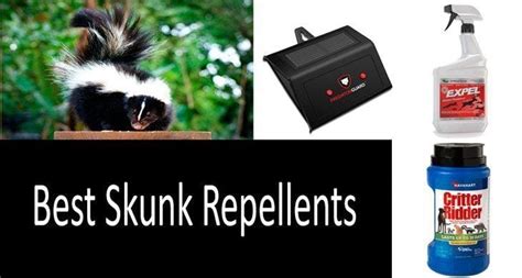 How to Pick a Skunk Repellent: 4 Best Repellents to Keep Skunks Away