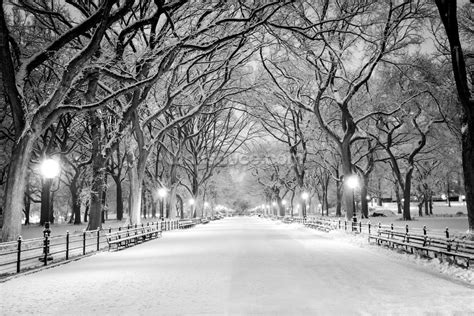 Central Park Covered in Snow Wallpaper Mural | Wallsauce US