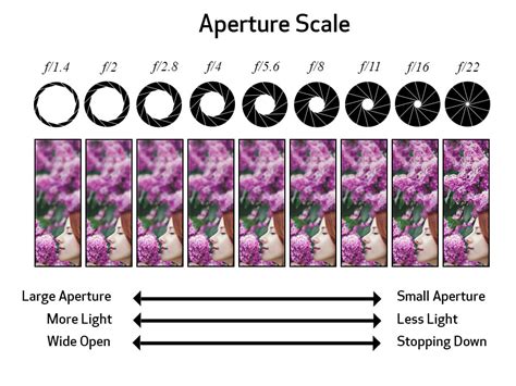 What is Aperture | Canon Educational Articles | Photography guidelines ...