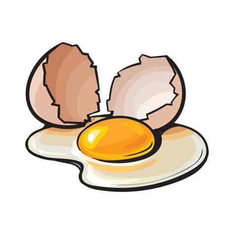 Broken Egg Clipart | Free download on ClipArtMag