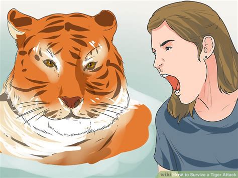 3 Ways to Survive a Tiger Attack - wikiHow