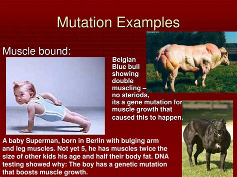 Mutation Meaning