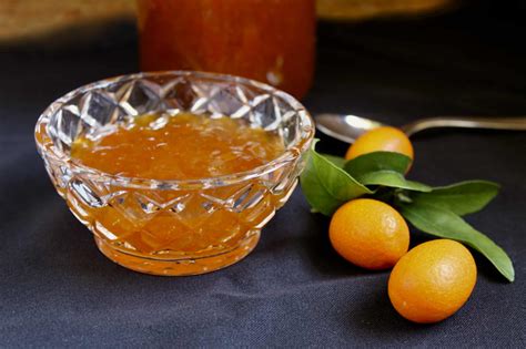 Kumquat Martini (Easy Citrus Cocktail) - Christina's Cucina