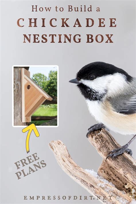 Make a Chickadee Nesting Box (Free Plans) — Empress of Dirt